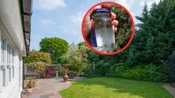 Kleszcze je kochają. Leśnik w godzinę złapał ich aż 60