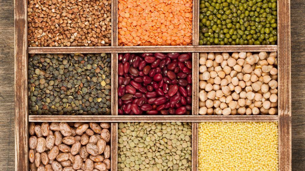 Lektyny są zawarte przede wszystkim w roślinach strączkowych