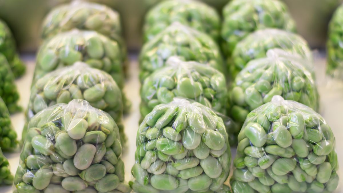 Jak wybrać świeży bób?