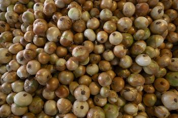 Nie doceniamy jej, bo jest za zwykła. Takie są skutki jedzenia cebuli w chłodne dni