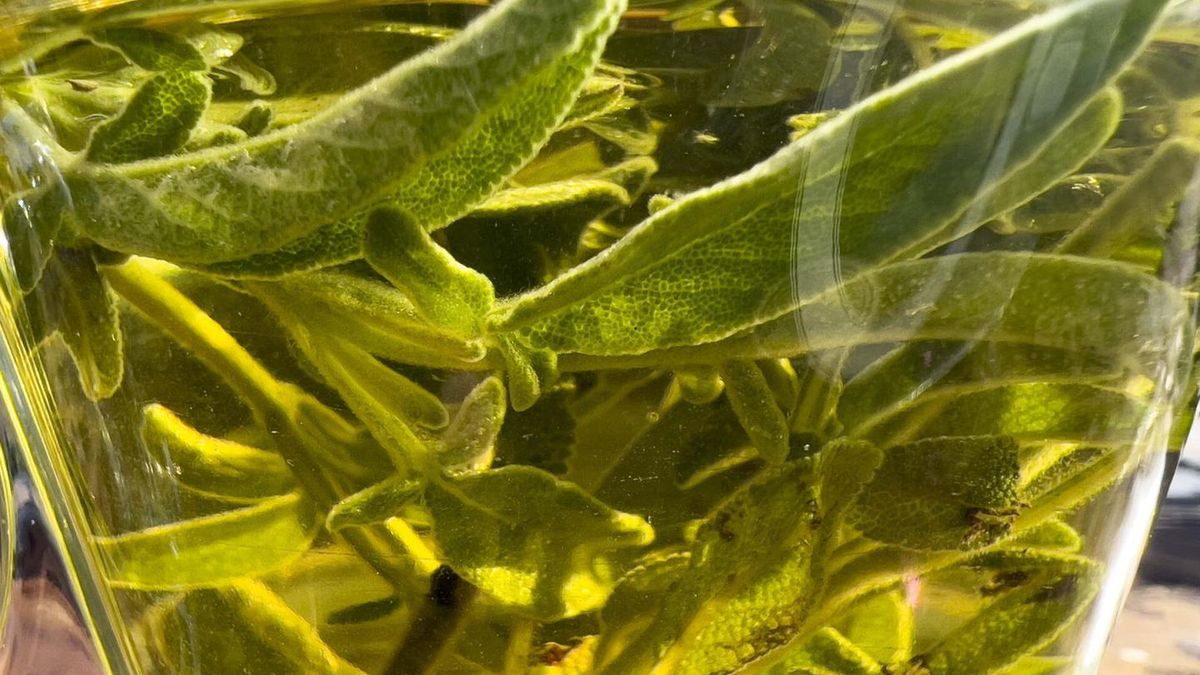 Skuteczny detoks organizmu. Ratunek dla wątroby