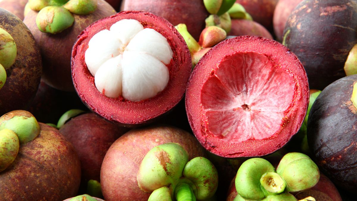 Mangostan jest królową owoców