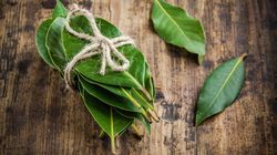 Podpal liść laurowy i zostaw go na 10 minut. Zobacz co się stanie (WIDEO)