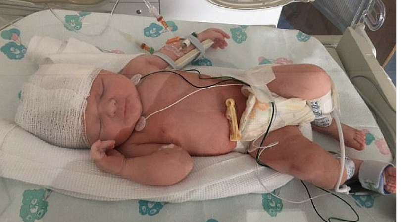 SWNS.com/ dailymail.co.uk