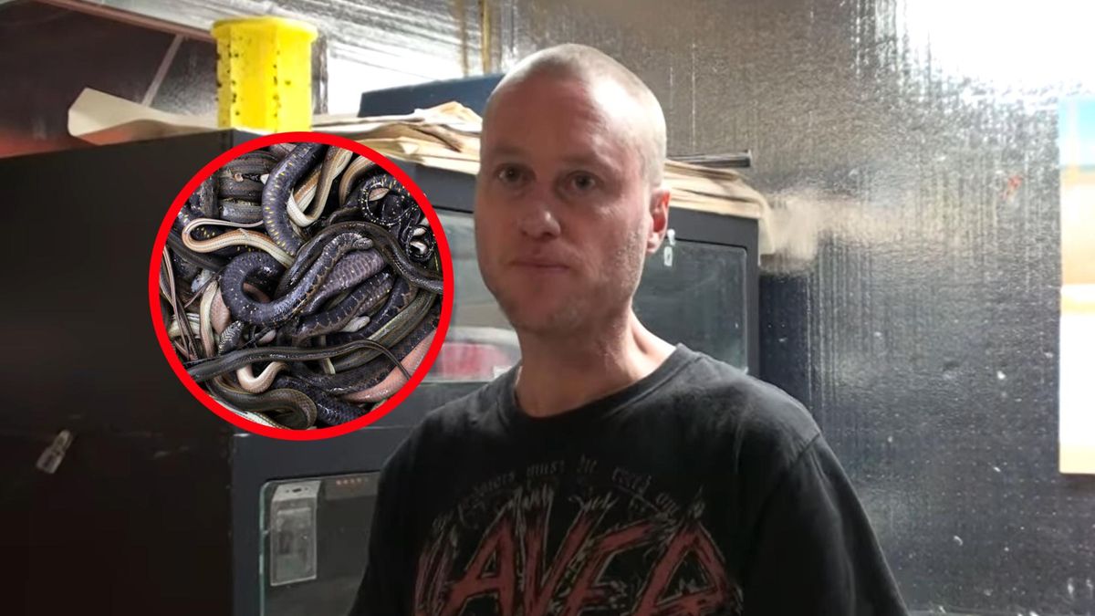 Przez 18 lat wstrzykiwał sobie jad węży. Jego krew może odmienić świat medycyny