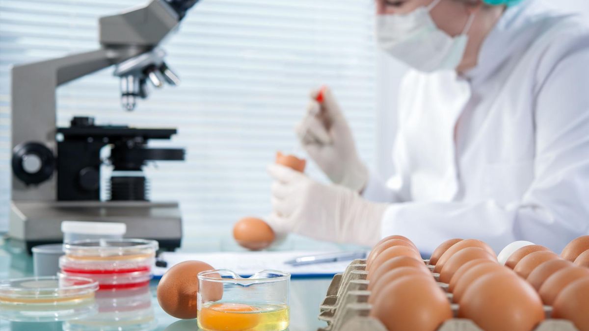 Cztery błędy, które mogą prowadzić do zakażenia się salmonellą