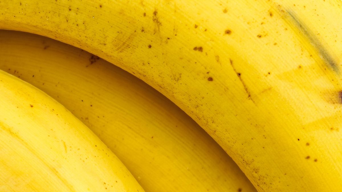 Niektóre owoce są niewskazane w diecie osób z chorobami nerek