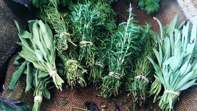 Bodziszek cuchnący to roślina o licznych właściwościach leczniczych.