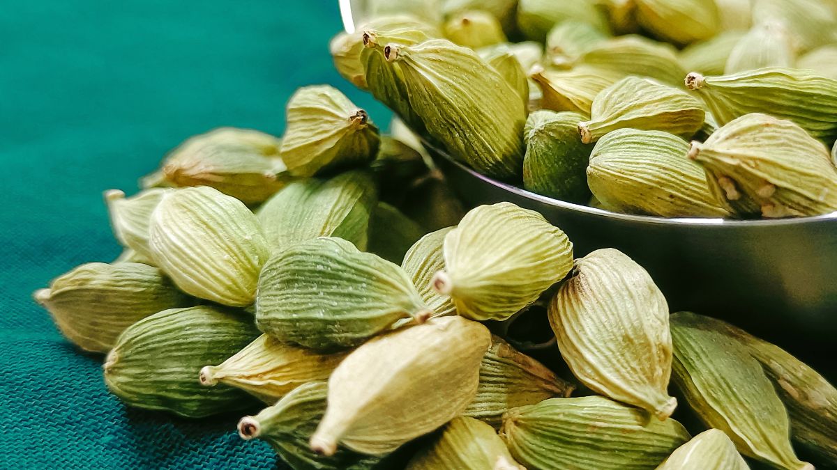 Kardamonina pod lupą badaczy