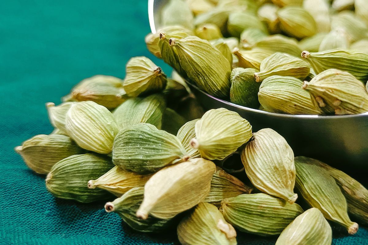 Kardamon wpływa na komórki rakowe. Popularna przyprawa może być bronią w walce z rakiem piersi