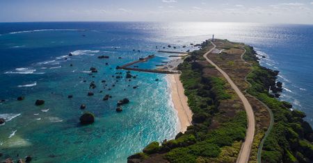 Dieta Okinawa zmniejsza ryzyko rozwoju demencji. Sprawdź, co warto jeść