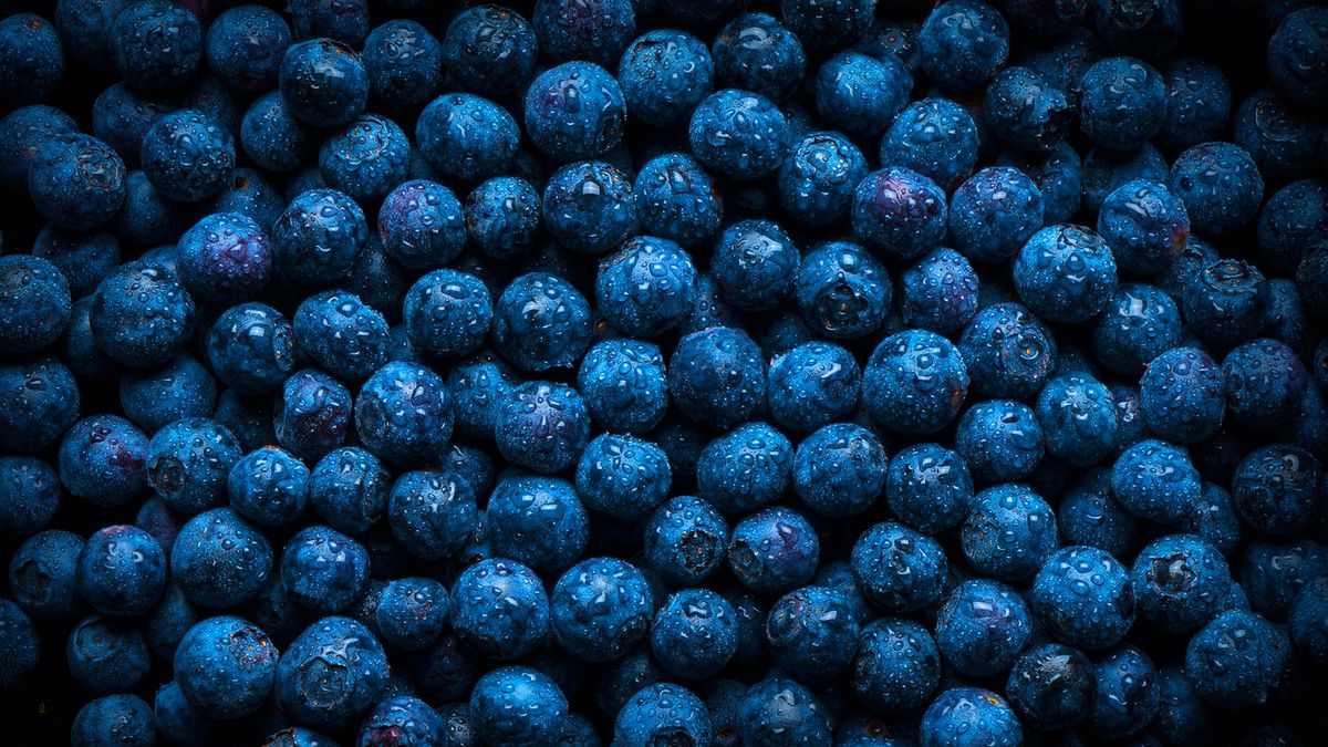 Borówka amerykańska - wartości odżywcze, właściwości