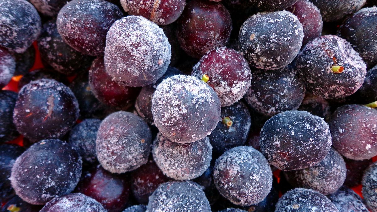 Trzustka uwielbia te produkty. Spożywaj codziennie, by zadbać o zdrowie i kondycję narządu