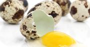 Właściwości jajek przepiórczych (WIDEO)