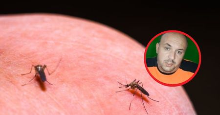 Swędzi po ugryzieniu komara? Ratownik medyczny radzi, co robić