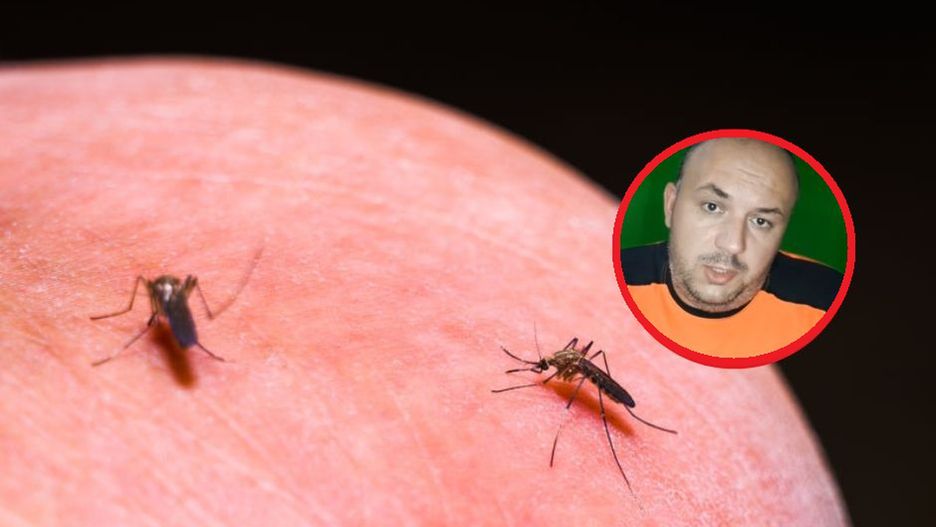 Dziecko pogryzły komary? Ratownik medyczny mówi, jak złagodzić przykre dolegliwości