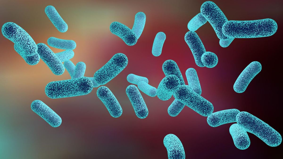 Bakteria coli - objawy i leczenie infekcji u dzieci