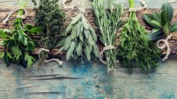 Zdrowe zioła, które warto włączyć do swojej diety