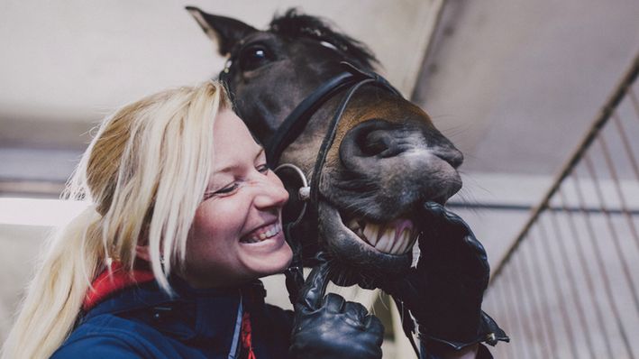 Nosacizna to choroba zakaźna, którą można zarazić się między innymi od koni czy osłów. 