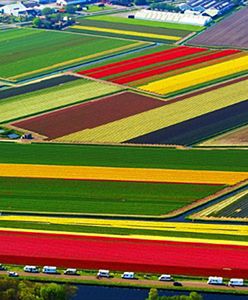 Atak na Polaków; "Oni wychodzą nam uszami"