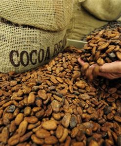 Spółki bronią się przed drogimi surowcami rolnymi