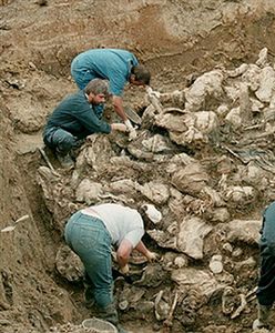 Zniszczyli dokumenty ws. masakry w Srebrenicy?