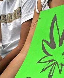 "Zielony wtorek" w stanie Waszyngton: ruszyła sprzedaż marihuany