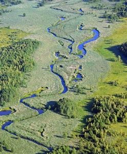 Komisja Petycji PE: szybko działać ws. obwodnicy Augustowa