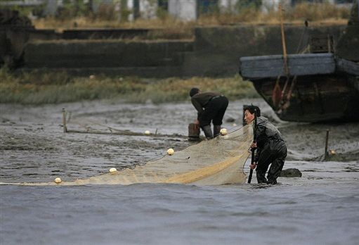 Rząd Rumunii chce zakazać połowu ryb w Dunaju