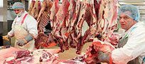 Tusk o embargu na polskie mięso: Ukraina musi dokonać wyboru