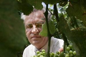 Walory smakowe wina zapisane w genach