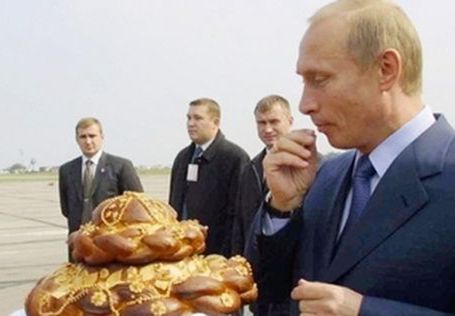 Putinowy kapuściany cud z grzybami