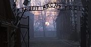 Podatek za pomoc policji w sprawie Auschwitz