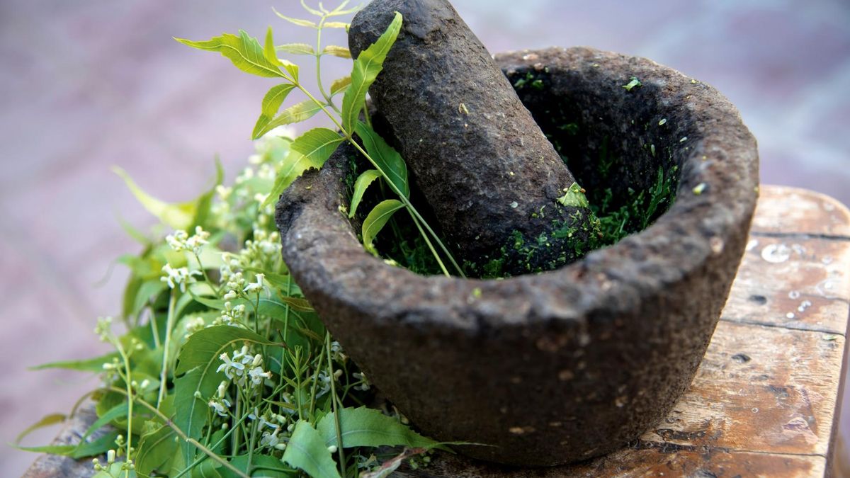 Taksyfolina, nazywana witaminą P bajkalską to dihydrokwercetyną, jeden z najsilniejszych antyoksydantów. 