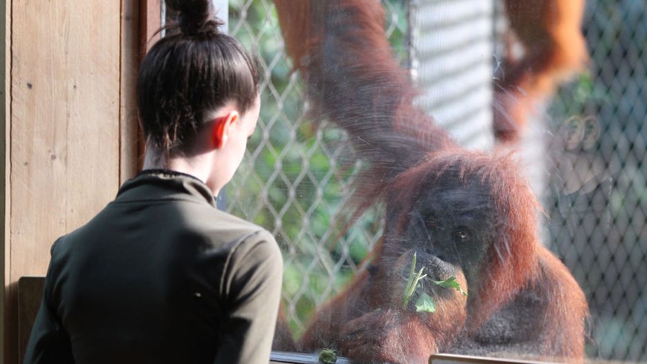 Poszła z niemowlakiem do ZOO. Nie spodziewała się, co ją spotka