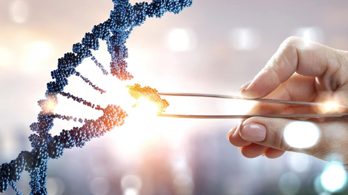 Heterozygota, homozygota oraz hemizygota to podstawowe terminy używane w genetyce