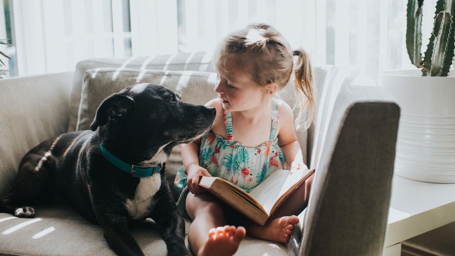 "Księżniczka na ziarnku grochu" - streszczenie i omówienie baśni