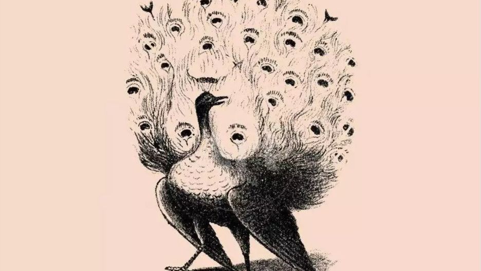 Widzisz twarz mężczyzny na obazku? Rozwiązanie na pewno cię zaskoczy