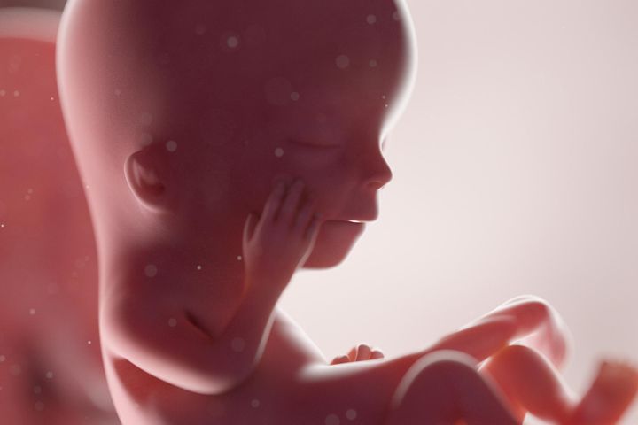 Przeprowadzono eksperyment z udziałem noworodków. Tak prenatalny kontakt z językiem wpływa na rozwój neuronalny dzieci