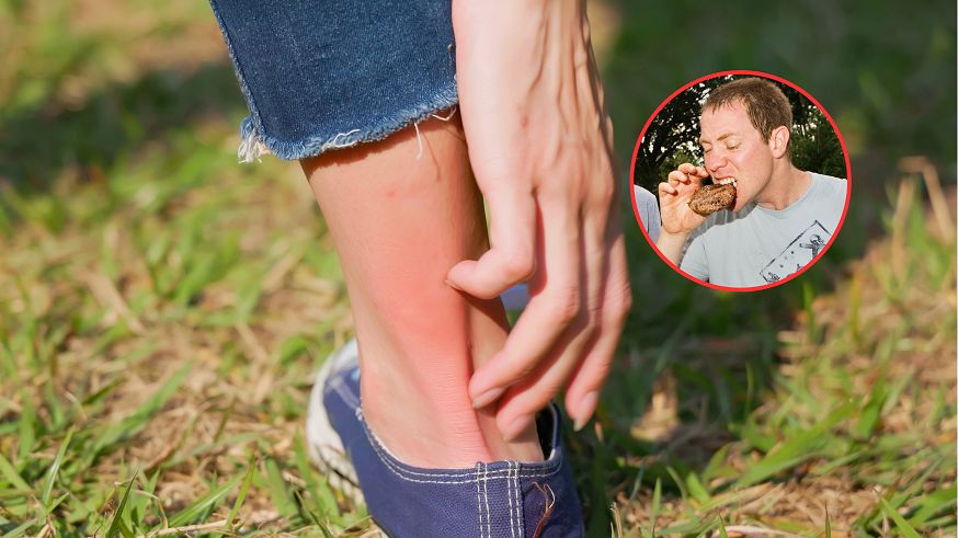 Nie tylko borelioza atakuje po ukąszeniu kleszcza. Ekspert ostrzega