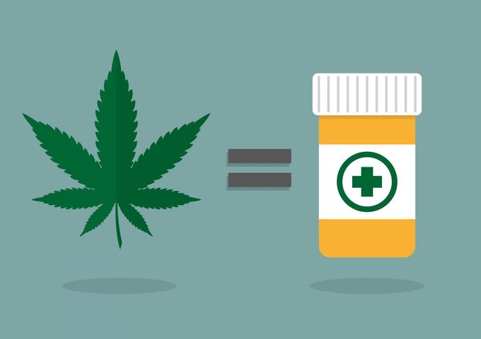 Czy marihuana będzie dostępna dla chorych?
