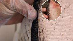 Najpierw Francja, teraz Wielka Brytania mają problem. Ostrzegają świat