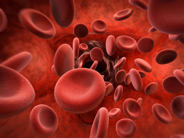 Erytrocyty zawdzięczają swój kolor hemoglobinie. 