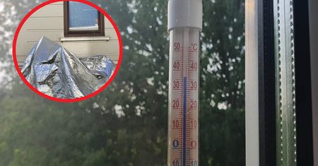 Genialny sposób na upały. Zawieś w oknie, a nie pożałujesz