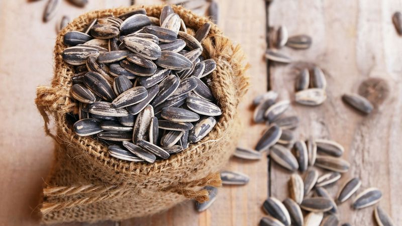 Naturalny płyn z nasion słonecznika wzmocni układ krążenia i polepszy pracę serca
