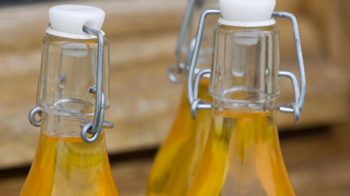 Olej rydzowy to najzdrowszy polski tłuszcz