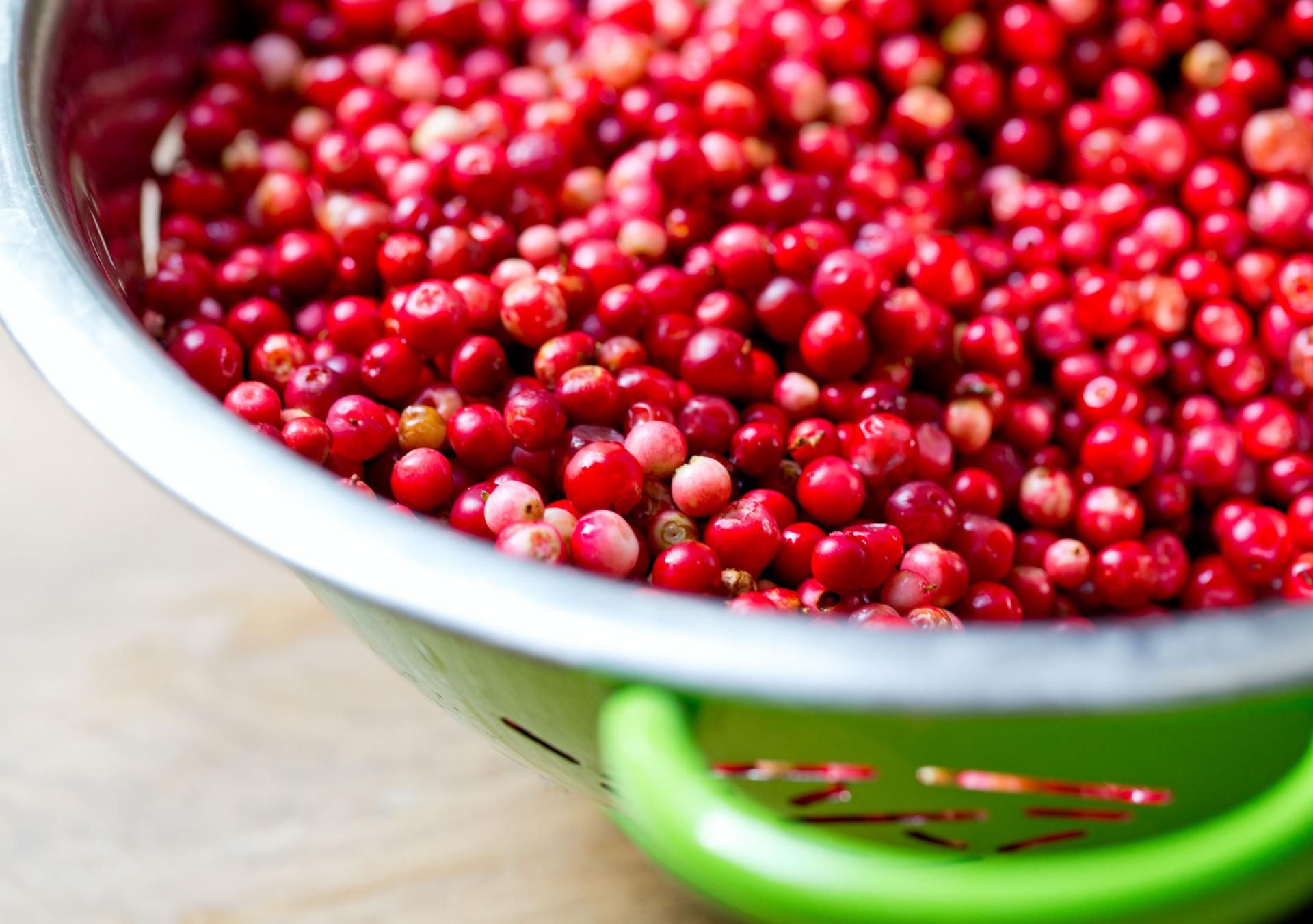 Borówka czerwona ma wiele wartości odżwyczych