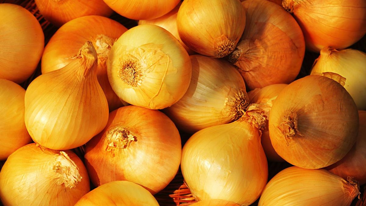 Najzdrowsza odmiana cebuli. Wiemy, która powinna często pojawiać się na twoim stole
