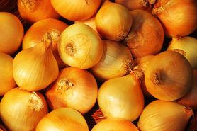 Najzdrowsza odmiana cebuli. Wiemy, która powinna często pojawiać się na twoim stole