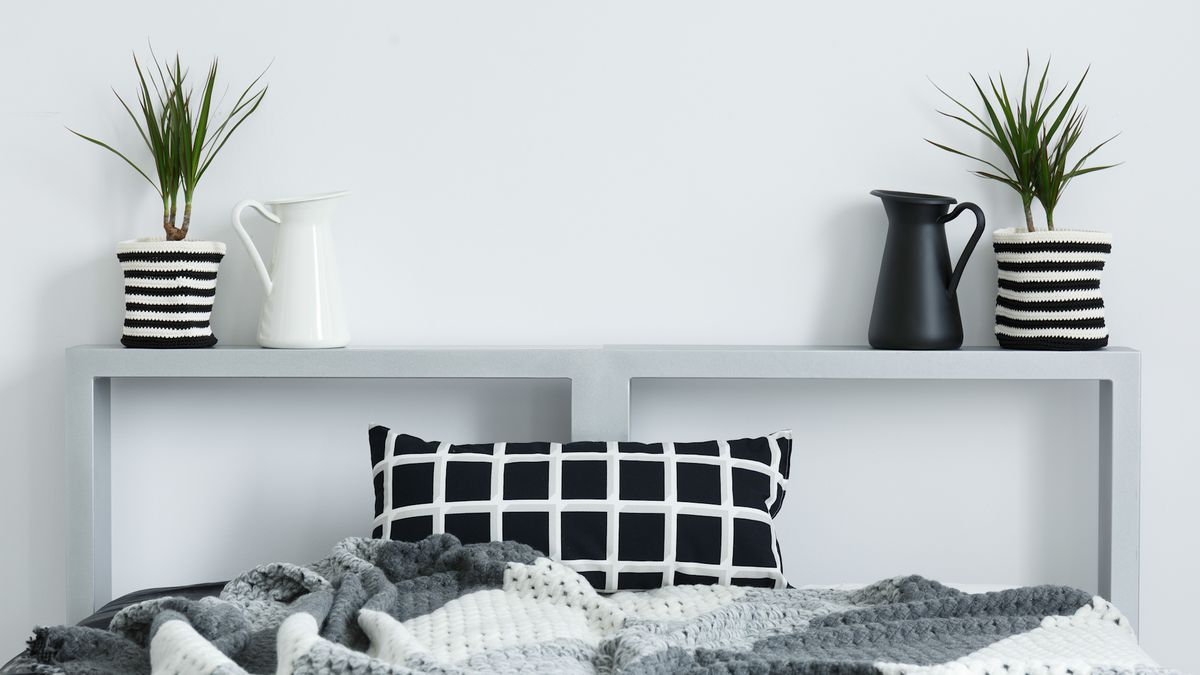 Dracena wonna - właściwości i uprawa w domu